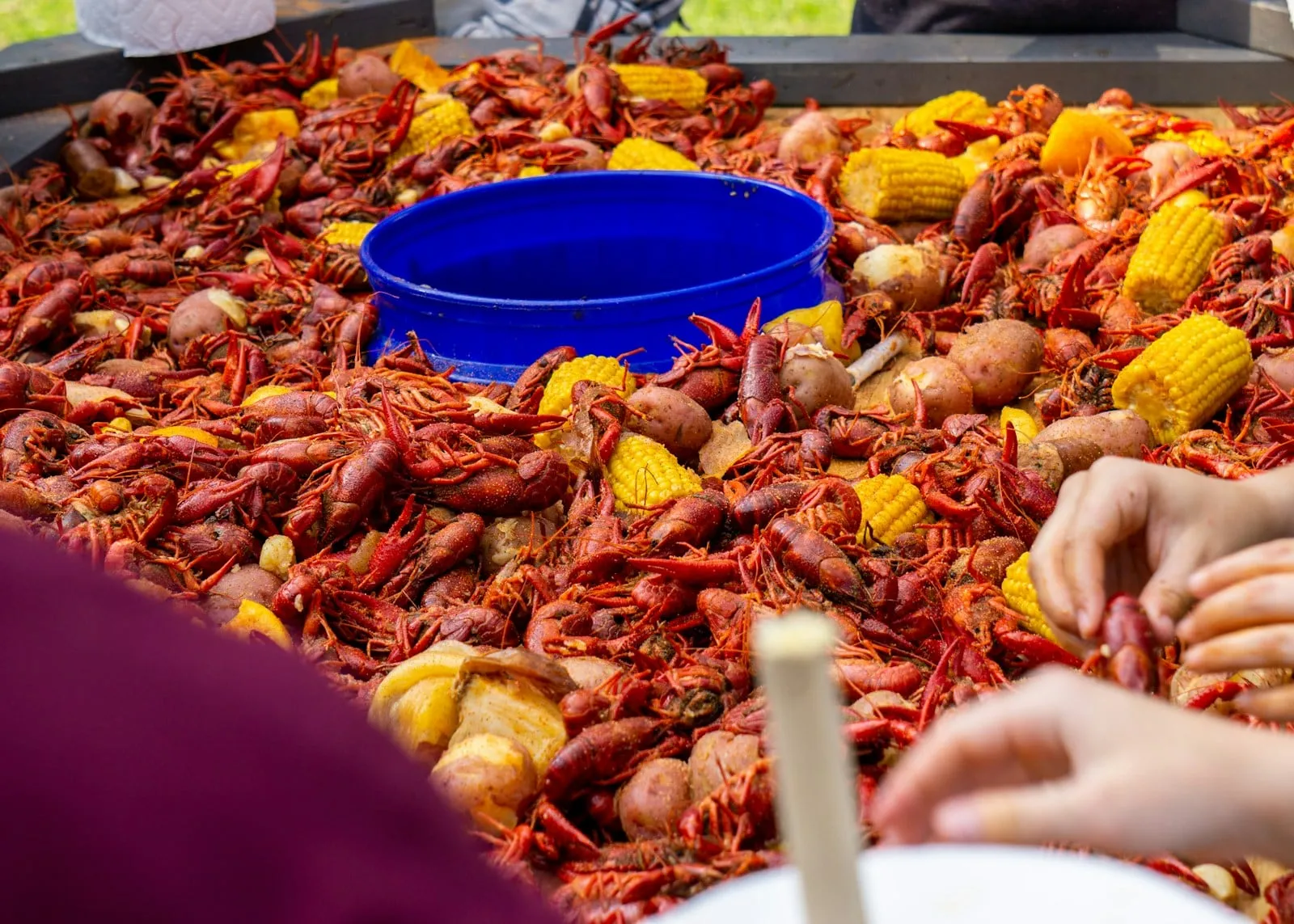 Friends digging into a crawfish boil with corn on a table